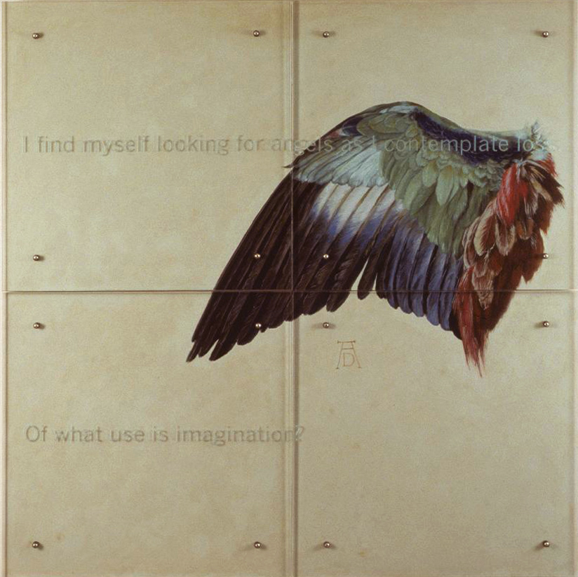 60" X 60" (153cmX 153cm), four panels, oil/wood, sandblasted glass, bolts TEXT IN GLASS: I find myself looking for angels as I contemplate loss. Of what use is imagination? After Albrecht Durer, Wing of a European Roller, 1502-10 Albertina Museum, Vienna